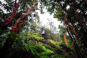 BIB: 
                            <button type="button" onclick="openModal(26201543)" class="btn btn-primary btn-sm float-right btn-popup" data-toggle="modal" data-target=".modal-high-quality">
                        <i class="fas fa-shopping-cart"></i> Add to Cart
                    </button>
                                            <button type="button" onclick="isThisMe(26201543, true)" class="btn btn-success btn-sm float-right btn-popup btn-isme hidden" data-toggle="tooltip" data-placement="bottom" title="นี่คือรูปของคุณใช่ไหม คลิกที่นี่เพื่อเอาเข้าอัลบั้ม">
                        <i class="fas fa-plus"></i> Add to album
                    </button>
                    <button type="button" onclick="isThisMe(26201543, false)" class="btn btn-warning btn-sm float-right btn-popup btn-isnotme hidden">
                        <i class="fas fa-ban"></i> Remove from album
                    </button>